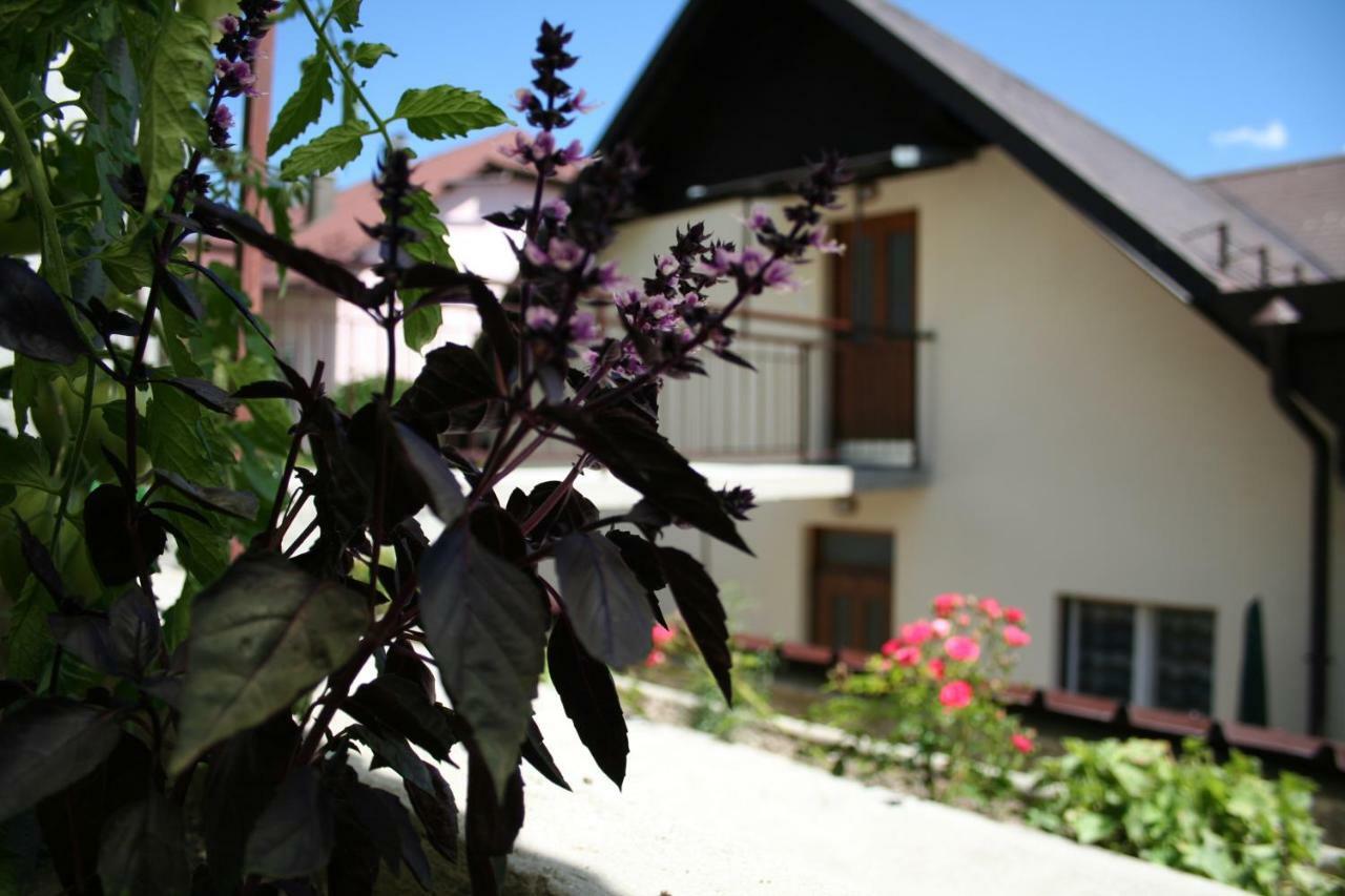 Apartma Center Bovec Esterno foto